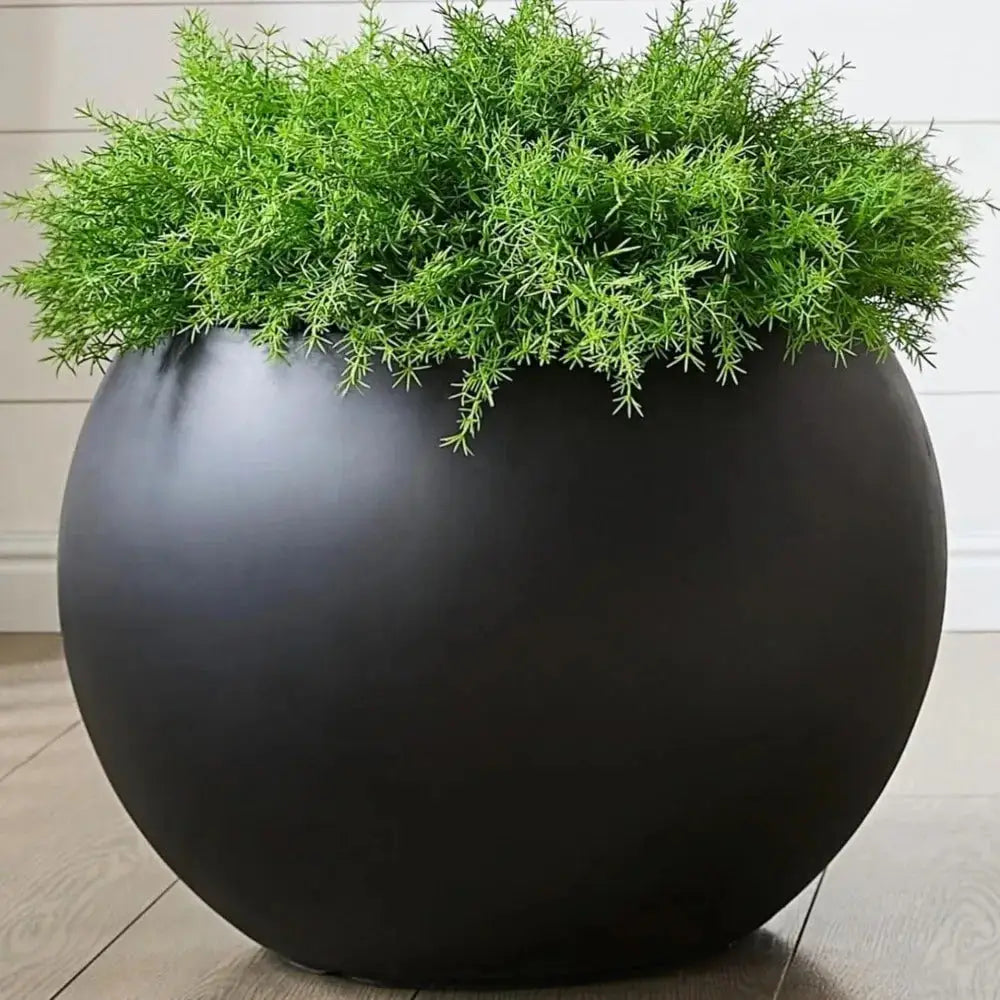 Grand pot de fleur noir extérieur