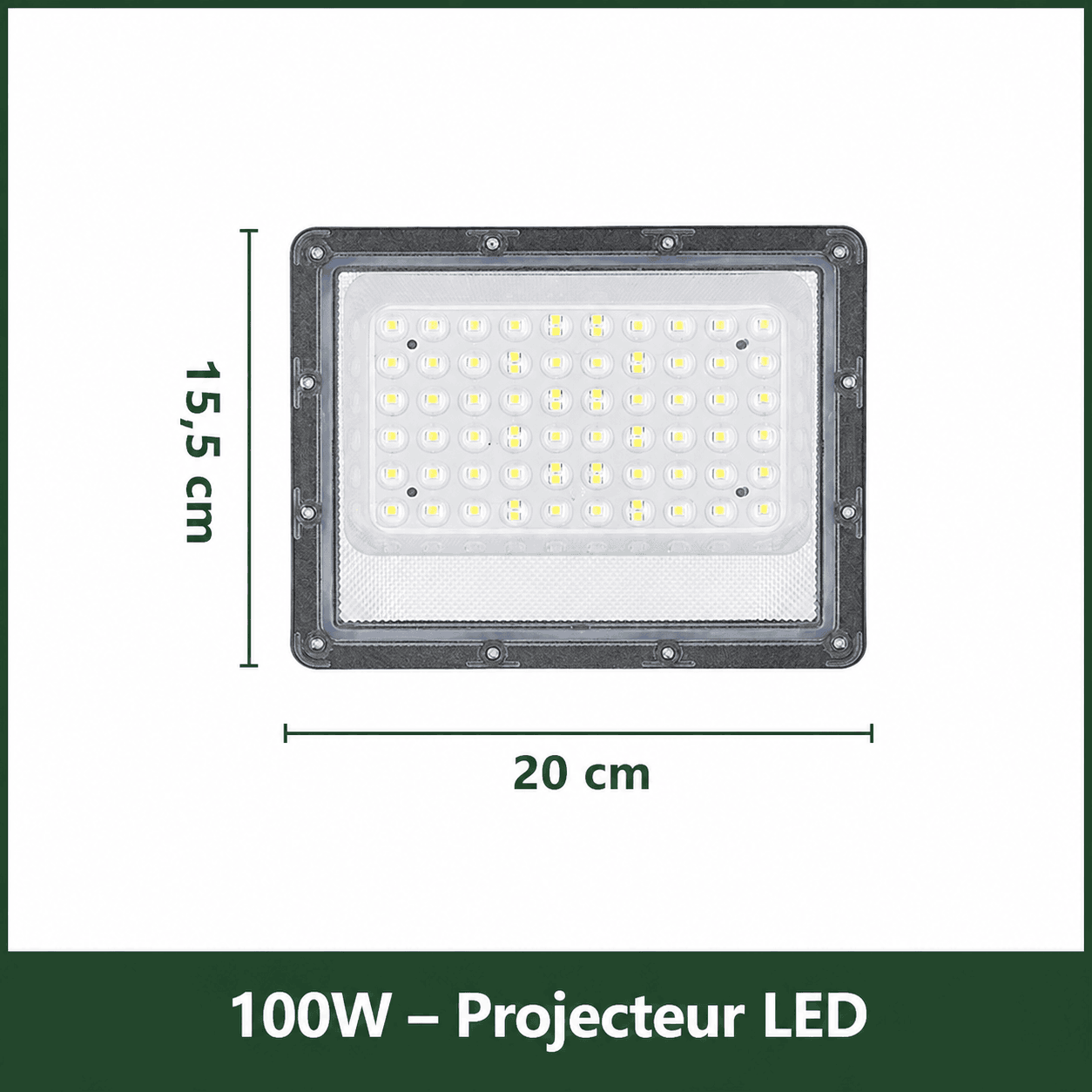 Projecteur Led Extérieur 100W Jardin d'Orée