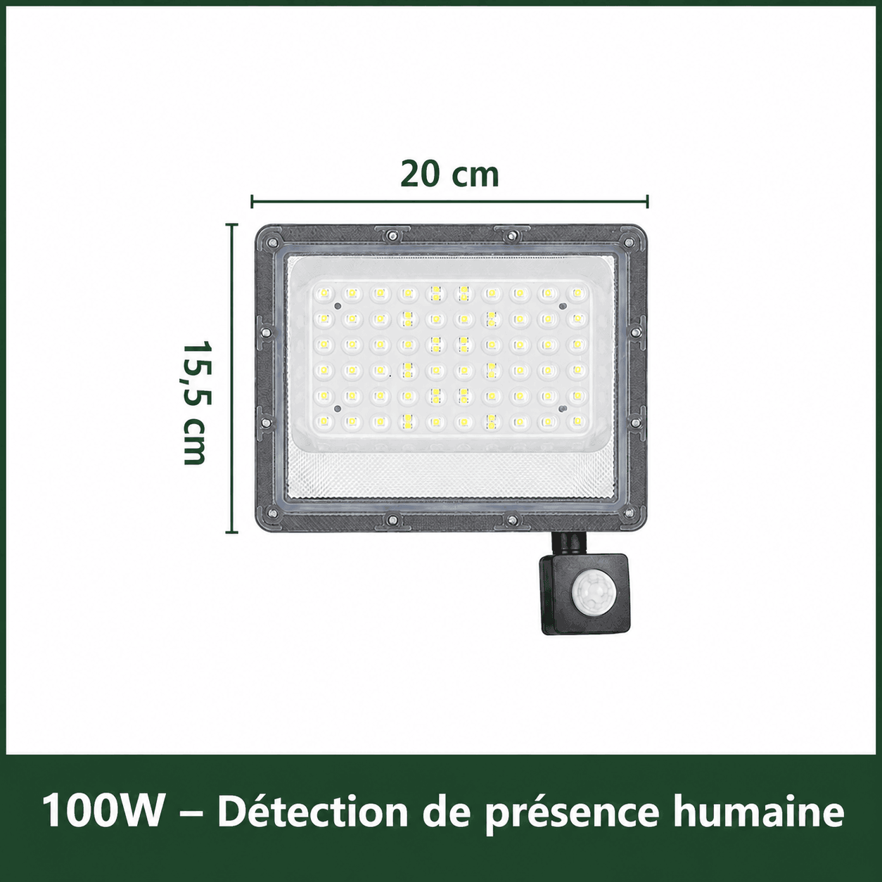 Projecteur Led Extérieur 100W Jardin d'Orée