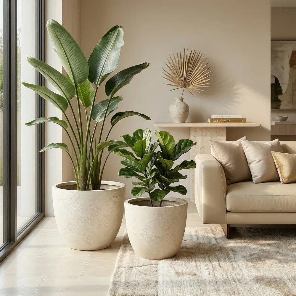 Pots de fleur xxl Jardin d'Orée 