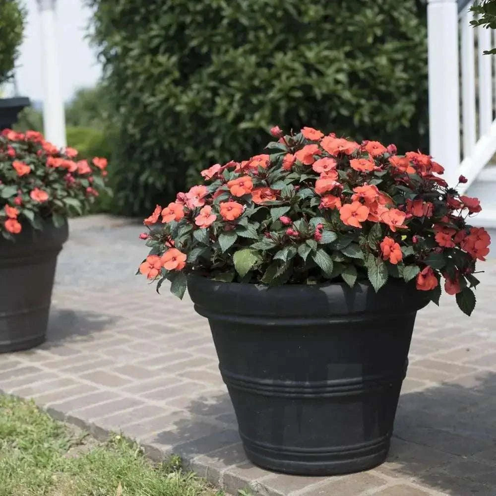 Pot de fleur noir xxl