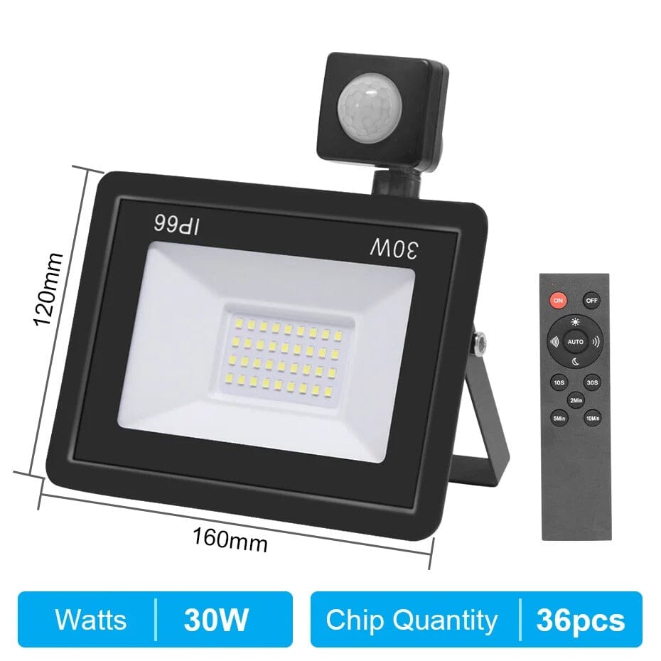 Projecteur LED extérieur avec télécommande Jardin d'Orée 