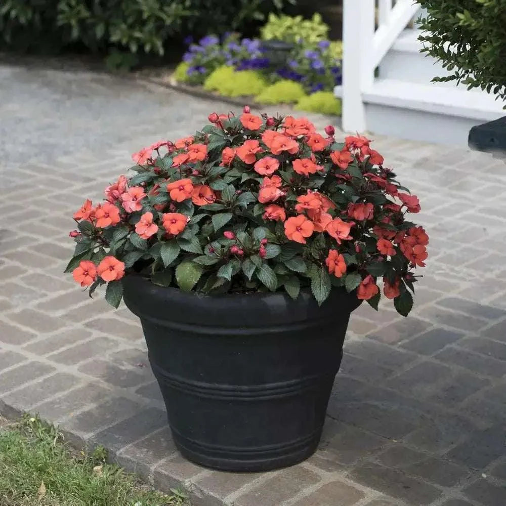 Pot de fleur noir xxl